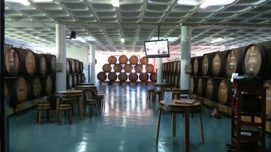 Madeira: Cabo Girao, Jeep Tour Adventure and Wine Tasting - Câmara de Lobos fishing village: the salty, colorful finish