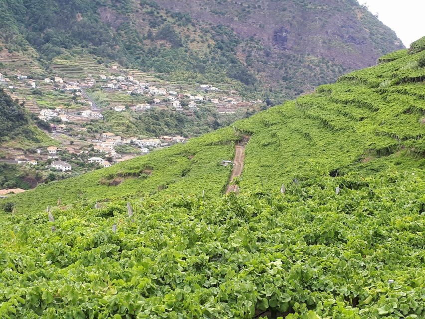 Madeira: Cabo Girão, Wine Tasting, & Serra d'Água Jeep Tour - Serra d’Água by jeep: off-road fun in the green interior