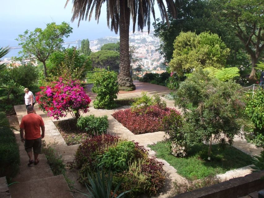 Madeira: Customized 3, 4 or 6-Hour Tour - Key highlights that make this tour work