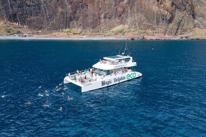 Madeira Dolphin and Whale Watching on a Ecological Catamaran - Key things I’d bet on before you go