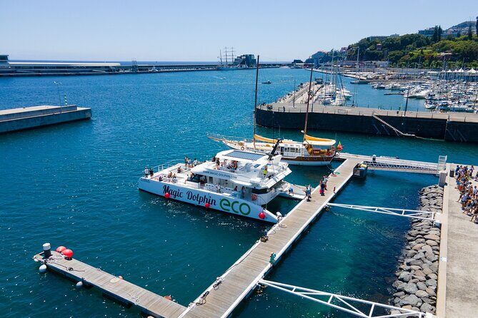 Madeira Dolphin and Whale Watching on a Ecological Catamaran - The “on the way back” Madeira route: Cabo Girão, Câmara de Lobos, Reid’s Hotel