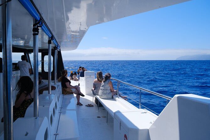 Madeira Dolphin and Whale Watching on a Ecological Catamaran - Who should book this cruise, and who should think twice