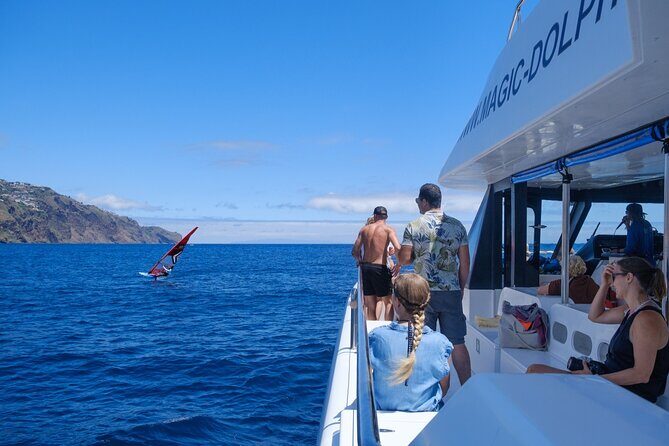 Madeira Dolphin and Whale Watching on a Ecological Catamaran - Should you book Magic Dolphin whale and dolphin watching?