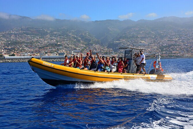 Madeira Dolphin & Whale Watching Tour - Getting on the water near Funchal: meeting point vibes and first steps