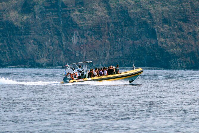 Madeira Dolphin & Whale Watching Tour - Is it good value at about $58.05? Here’s how I’d weigh it