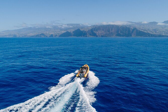Madeira Dolphin & Whale Watching Tour - Sailing along Madeira’s coast: why the views matter even before you spot whales