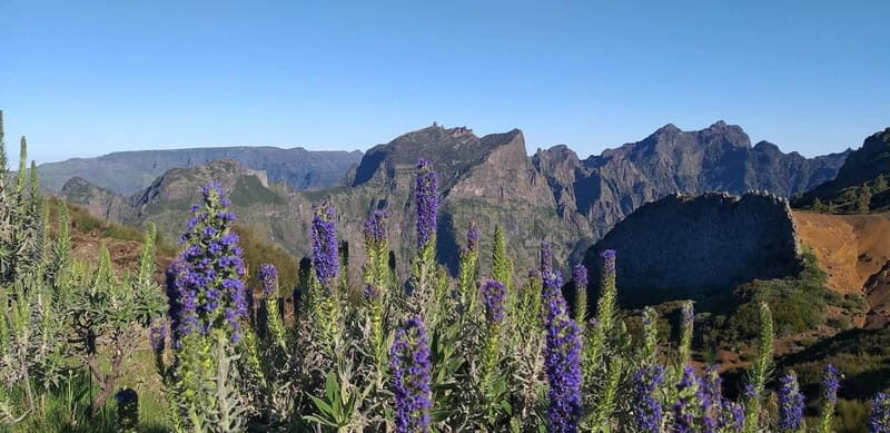 Madeira East Island Tour and Levada Walk - East Madeira in one efficient 8-hour loop