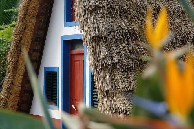 Madeira East Island Tour with Levada Walk and Lunch - East Madeira in one day: what you actually get