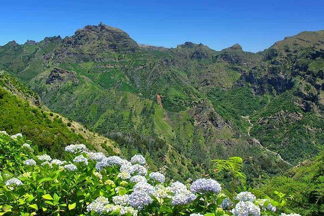 Madeira East Tour from Funchal - Santana: Triangular Thatched Houses and a Lunch Break That’s Actually Time Enough