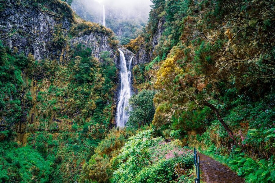 Madeira: Enjoy a Guided Levada Walk in the Rabaçal Valley - From Paul da Serra down toward Levada do Risco