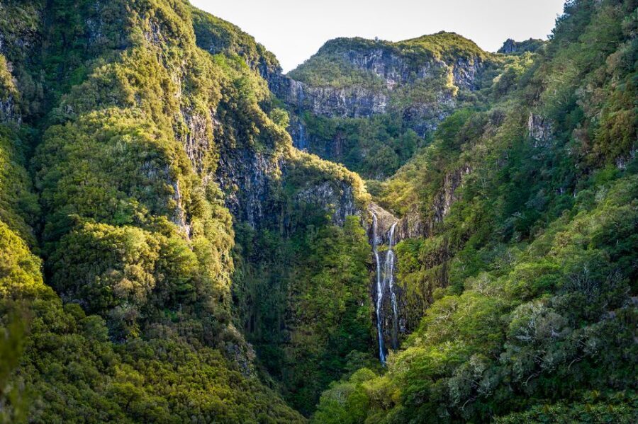 Madeira: Enjoy a Guided Levada Walk in the Rabaçal Valley - Why the “levada system” storytelling makes the hike better