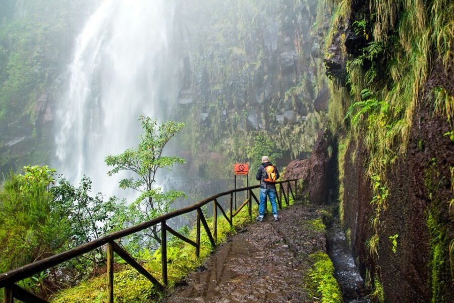 Madeira: Enjoy a Guided Levada Walk in the Rabaçal Valley - Flora, fauna, and the real reason to have a guide