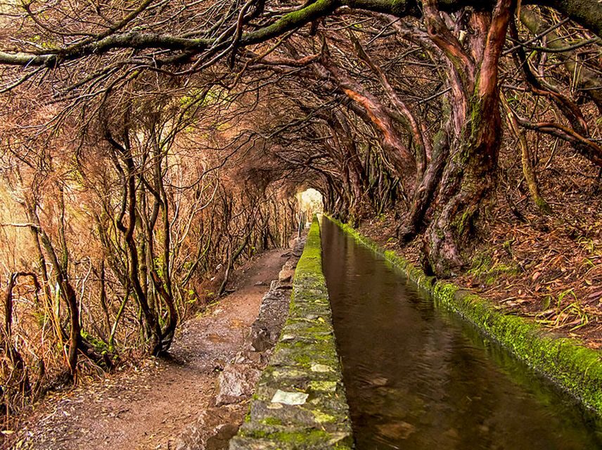 Madeira: Enjoy a Guided Levada Walk in the Rabaçal Valley - How hard is it, really? Steps, narrow sections, and rain reality