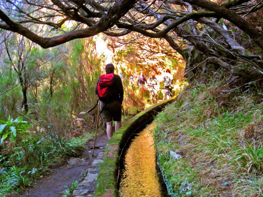 Madeira: Enjoy a Guided Levada Walk in the Rabaçal Valley - Price and value: why $50 can make sense here