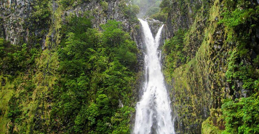 Madeira: Enjoy a Guided Levada Walk in the Rabaçal Valley - The day starts with pickup from Funchal (and smart alternatives)