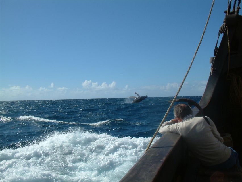 Madeira: Flag Ship Tour aboard Santa Maria de Colombo - Getting the most out of it: practical tips that make a difference