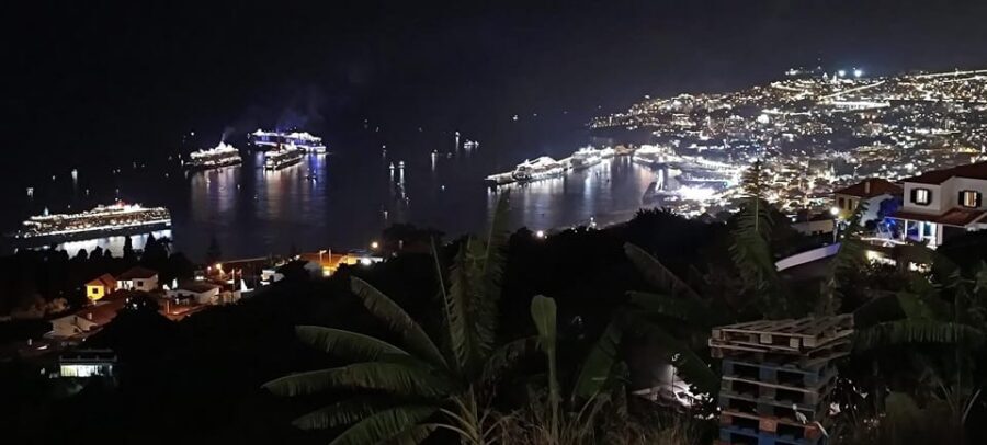 Madeira: Folk Dancing Show and Traditional Local Dinner - Who This Evening Suits Best (and who might want a different plan)