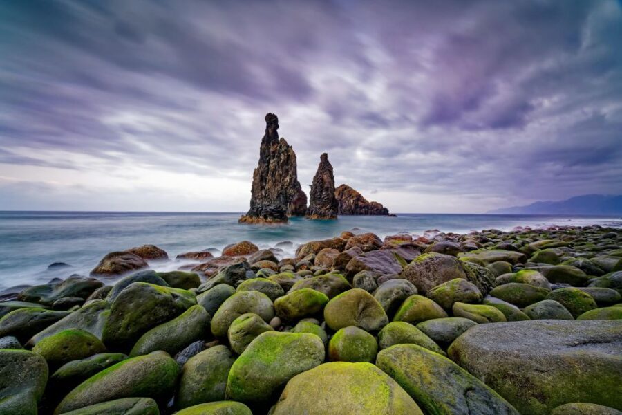 Madeira: Full-Day Jeep Tour, Natural Pools, Seixal & Fanal - Price and value: what $76 really buys you for 8 hours