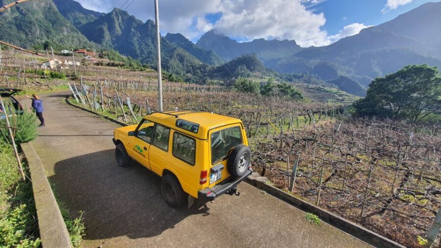 Madeira: Full-Day Jeep Tour with Guide and Pickup - Fanal Forest: the break that keeps the day from feeling rushed