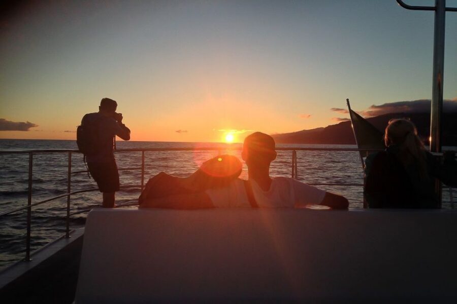 Madeira: Funchal Sunset Tour by Catamaran - Key things I’d clock before you go