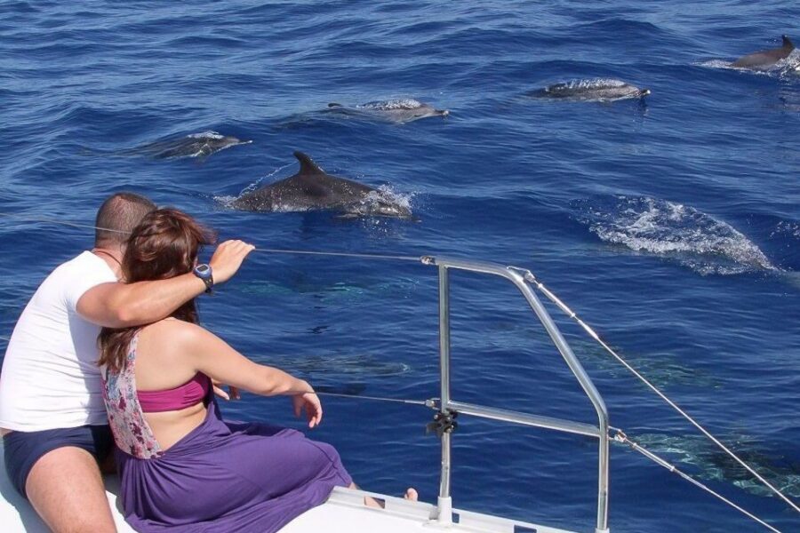 Madeira: Funchal Sunset Tour by Catamaran - Why this Madeira sunset catamaran works so well