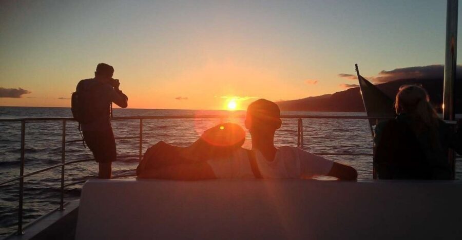 Madeira: Funchal Sunset Tour by Catamaran - Cruising the south coast: sunset views plus the animal search