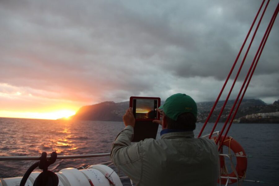 Madeira: Funchal Sunset Tour by Catamaran - The dolphins and whales promise, and what the second trip really means