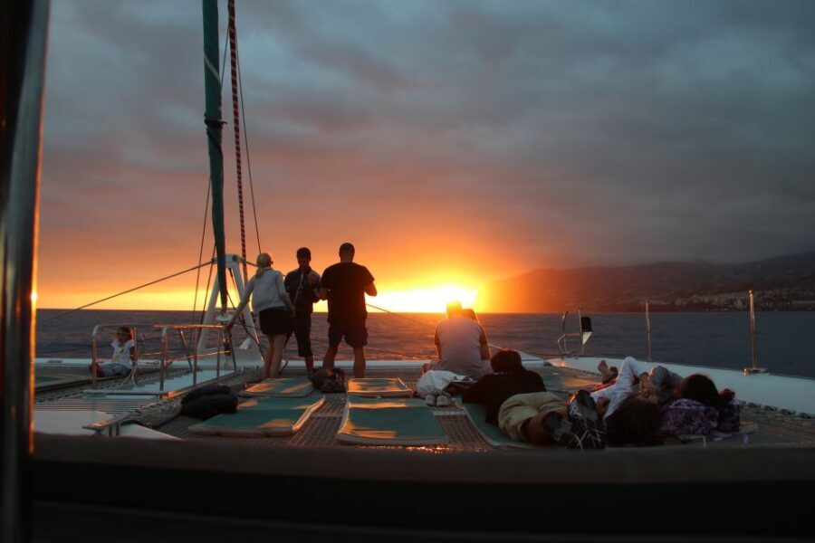 Madeira: Funchal Sunset Tour by Catamaran - What the ride feels like: wind, spray, and how to handle sea conditions