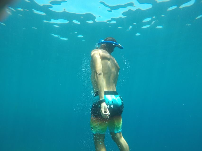 Madeira: Garajau Nature Reserve Kayak and Snorkel Tour - Garajau Kayak and Snorkel: What You’re Really Buying for $41