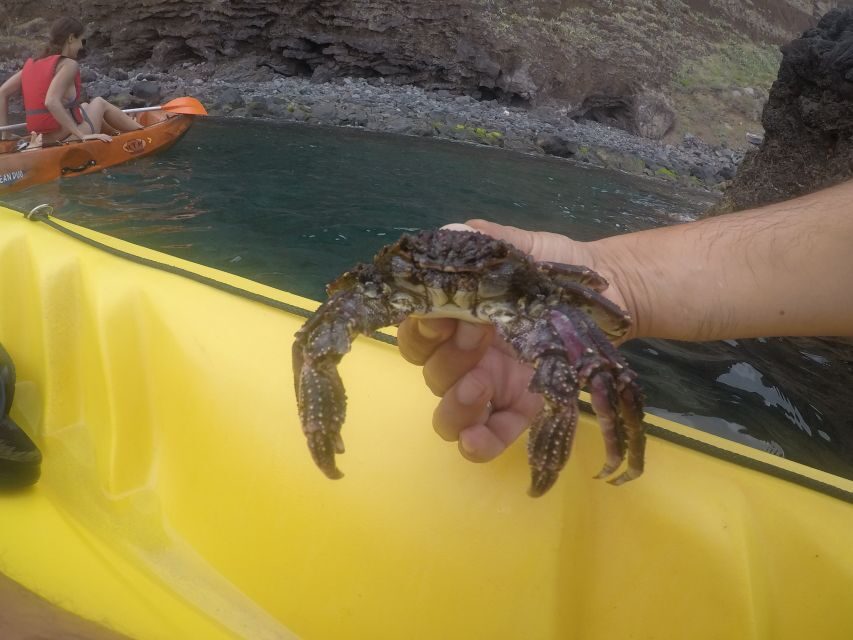 Madeira: Garajau Nature Reserve Kayak and Snorkel Tour - Safety, First Aid, and How the Guides Handle Mixed Skill Levels