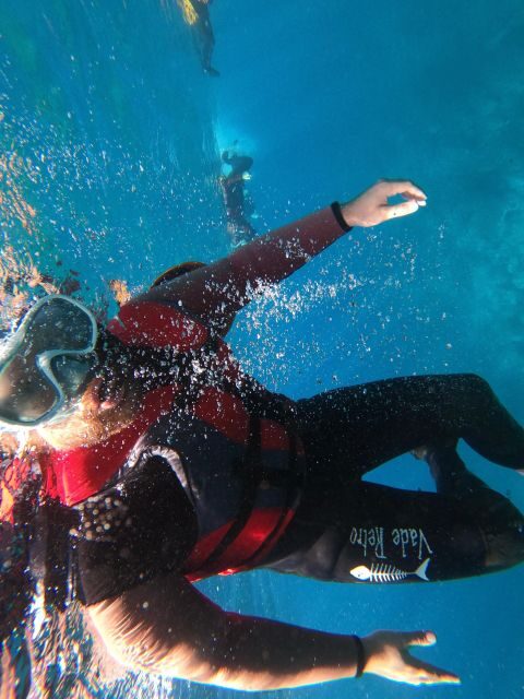 Madeira: Half-Day Coasteering Tour - Price and value: is $74 really worth a half day?