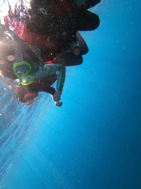 Madeira: Half-Day Coasteering Tour - The 4-hour flow: pickup, safety prep, and moving along the coast