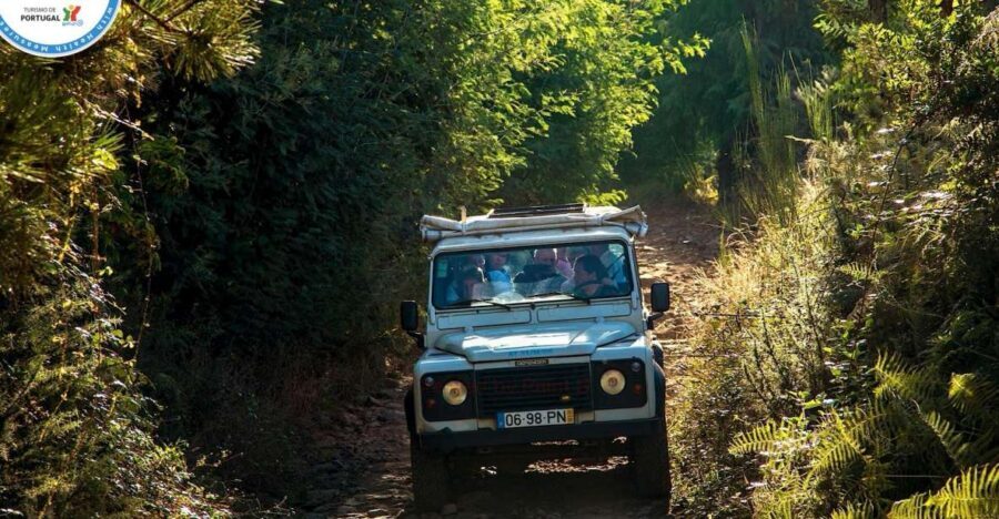 Madeira: Half-Day Nun's Valley and Sea Cliff Tour - Madeira’s Nun’s Valley and sea-cliff route: why it feels different