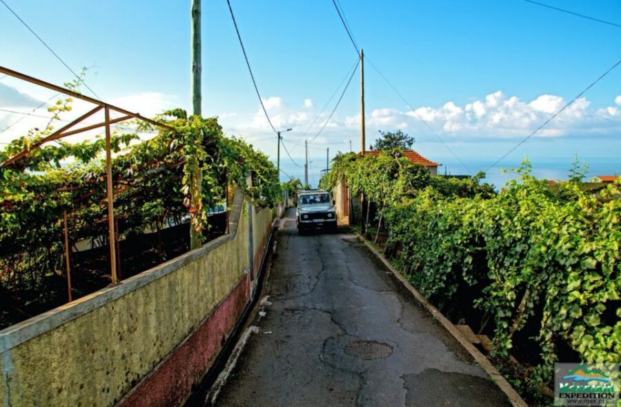 Madeira: Half-Day Nun's Valley and Sea Cliff Tour - Pickup and timing: what 4 hours really means