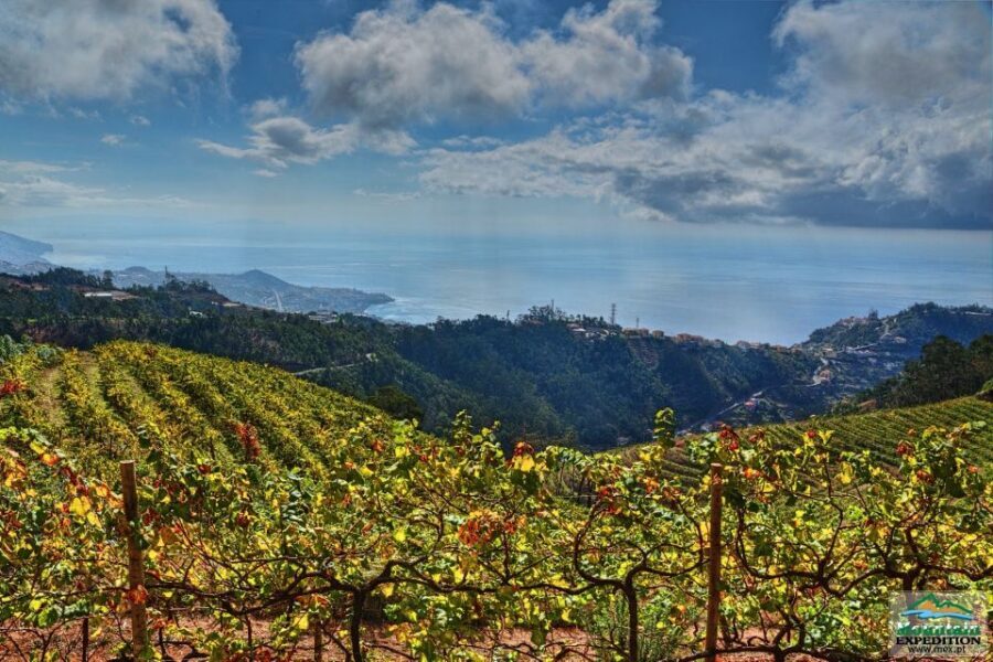 Madeira: Half-Day Nun's Valley and Sea Cliff Tour - A local bar stop: coffee, spirits, and a workshop moment