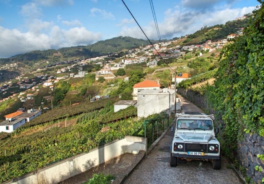 Madeira: Half-Day Nun's Valley and Sea Cliff Tour - Camara de Lobos: closing with the fishing village mood