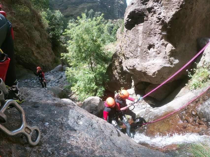 Madeira: Intermediate (Level 2) Canyoning Experience - Price and Value: What $106 Buys You in Madeira