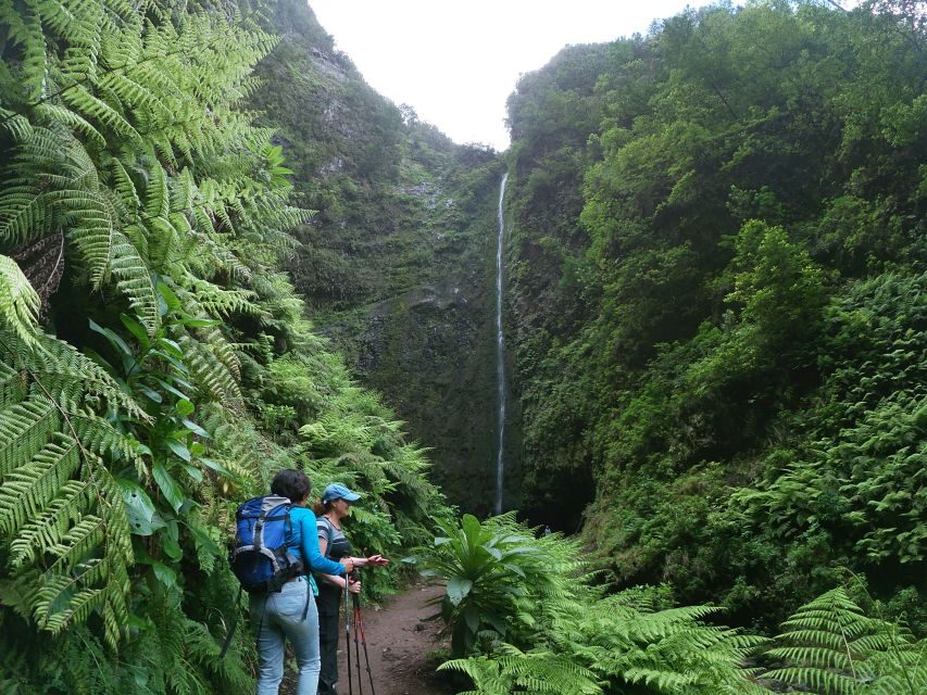 Madeira Island: Caldeirão Verde Levada Walk - Quick hits before you lace up