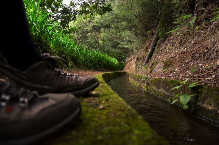 Madeira Island: Caldeirão Verde Levada Walk - Getting from your hotel to Queimadas without losing time