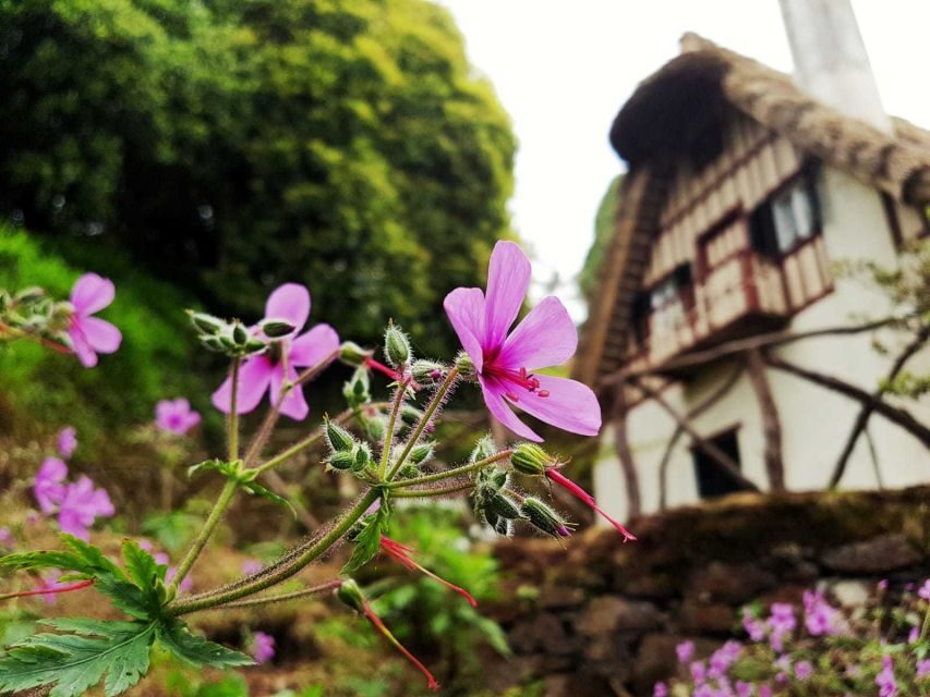 Madeira Island: Caldeirão Verde Levada Walk - Walking the Laurissilva UNESCO forest: what you actually learn