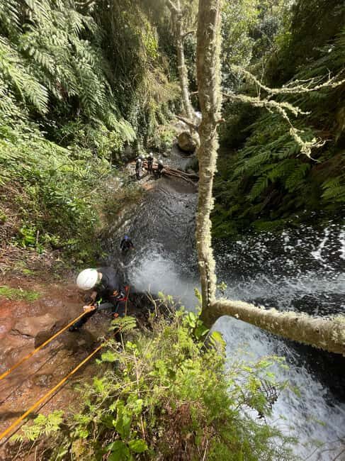 Madeira: Level-1 Canyoning Adventure - Rappelling down waterfalls: what to expect on your first descents