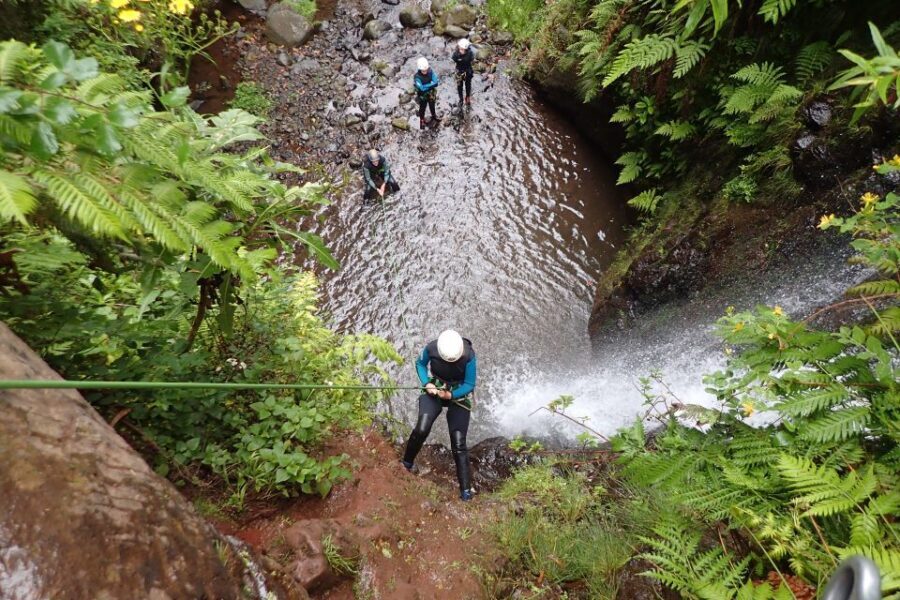 Madeira: Level-1 Canyoning Adventure - Meeting at CR7 Museu and the van transfer that sets the rhythm