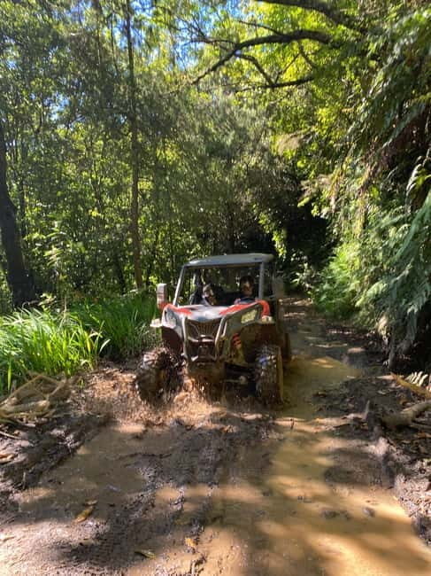 Madeira: Off-Road Buggy Driving Experience - Key highlights worth your attention