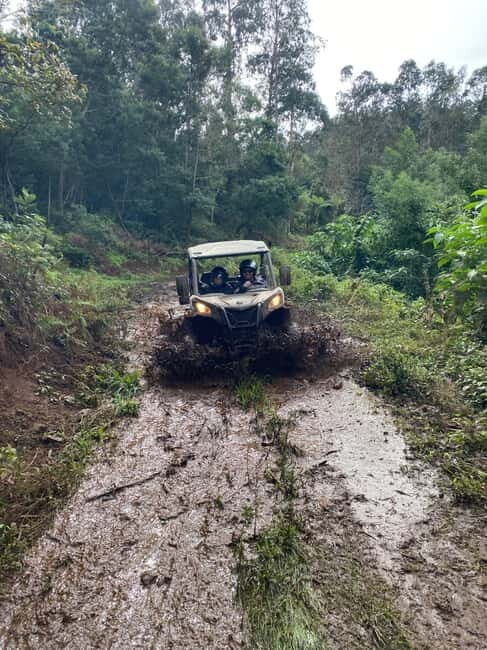 Madeira: Off-Road Buggy Driving Experience - Who This Tour Fits Best (And Who Might Want a Different Plan)