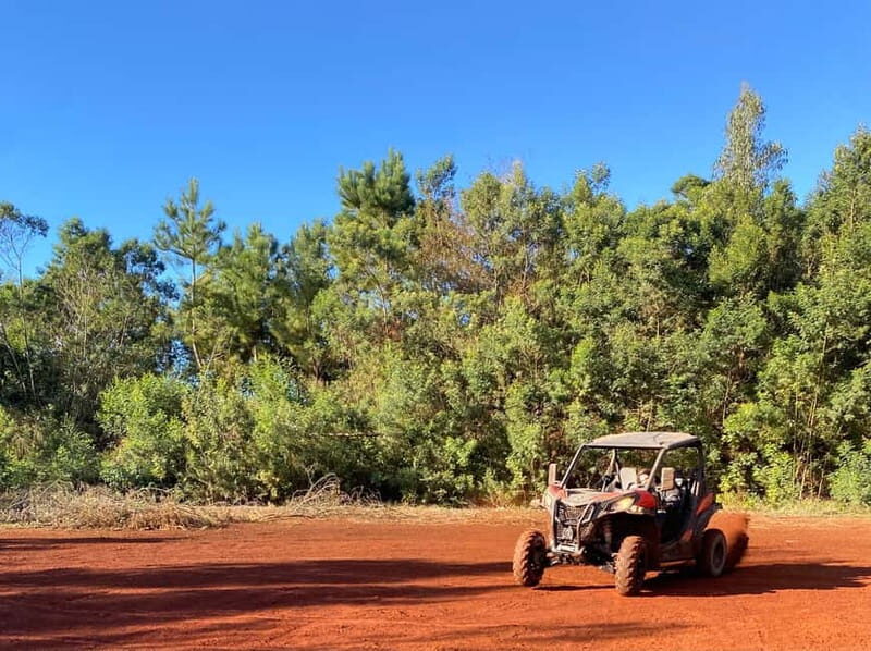 Madeira: Off-Road Buggy Driving Experience - Cruising Remote Dirt Tracks: Laurisilva Forest on the Move