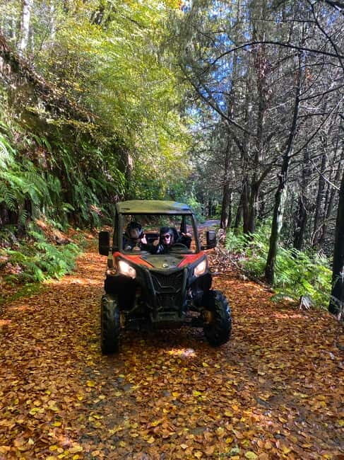 Madeira: Off-Road Buggy Driving Experience - Photo Stops and Viewpoints: Sea-to-Mountain Contrast You Can Actually Feel