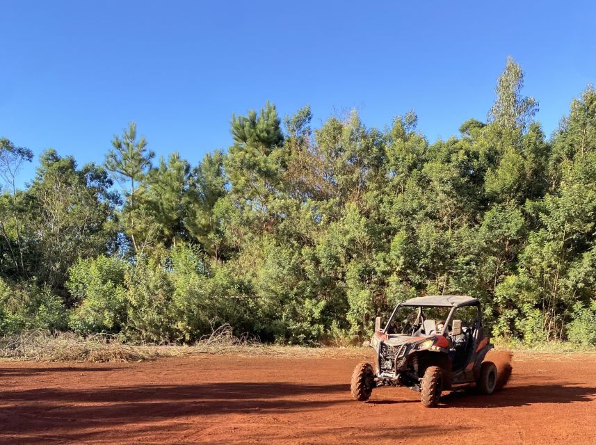 Madeira: Off-Road Buggy Driving Experience - Riding Comfort: Seats, Terrain, and What to Wear