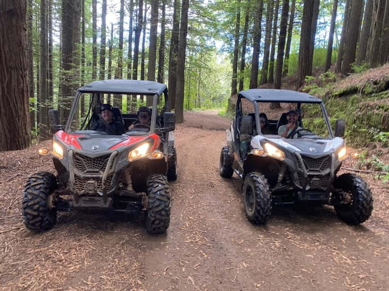 Madeira: Off-Road Buggy Driving Experience - Getting There and Meeting Point Details (Red-and-White House, Second Gate)