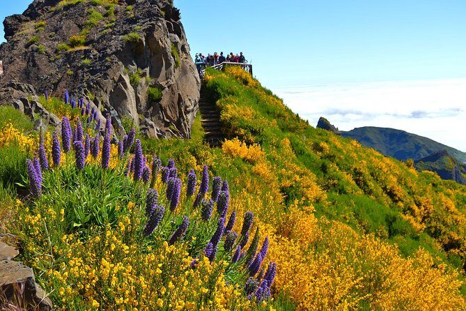 Madeira Peaks - Mountain Walk - Pico Ruivo: highest-point views plus your lunch break planning