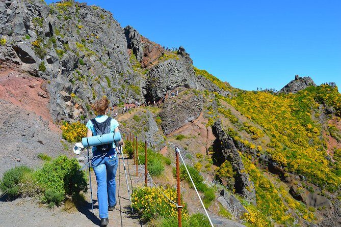 Madeira Peaks - Mountain Walk - Vereda do Pico Ruivo: heather forest walking and trail realities